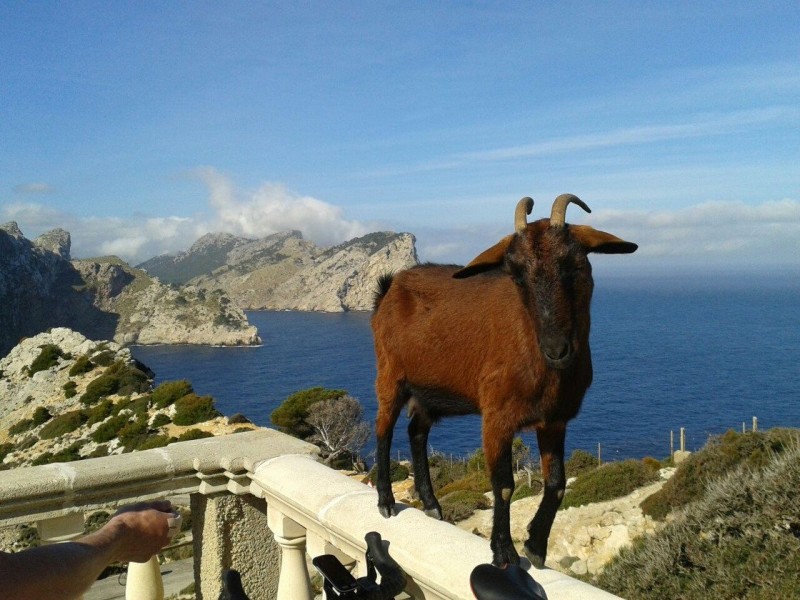 Cap Formentor