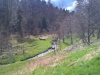 WP_20150411_14_31_20_Pro.jpg