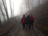 WP_20150118_3